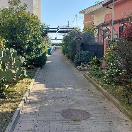 Pm 3 Via Massimiliano Grazia * Rimini